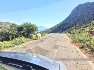 Weg auf die Lasithi Hochebene